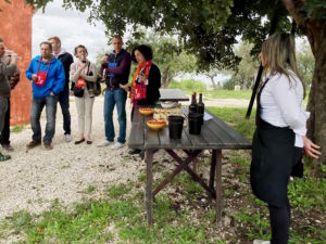Wine Tour Sicily