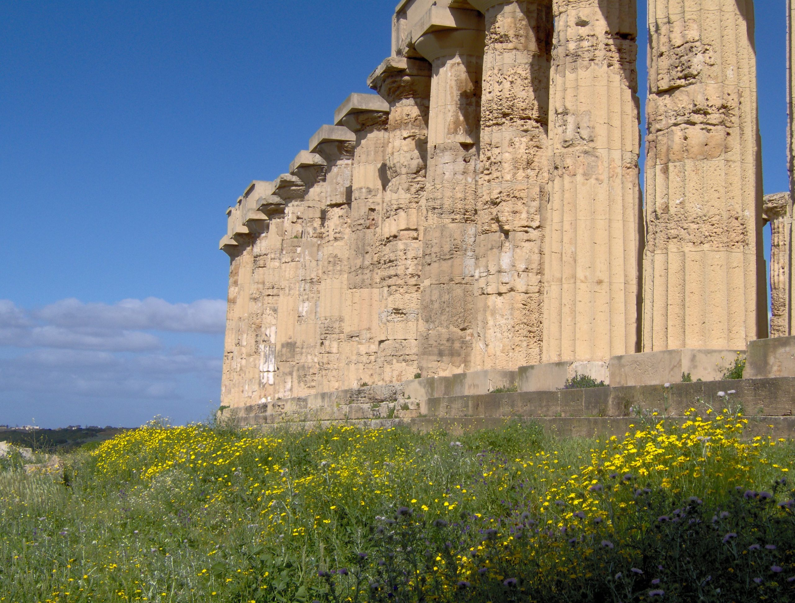 Archaeological Trails